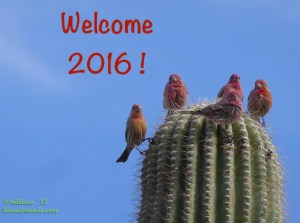 2015-12-25-AZ-1340972