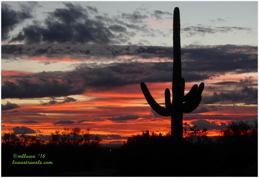 Sonoran Sunset