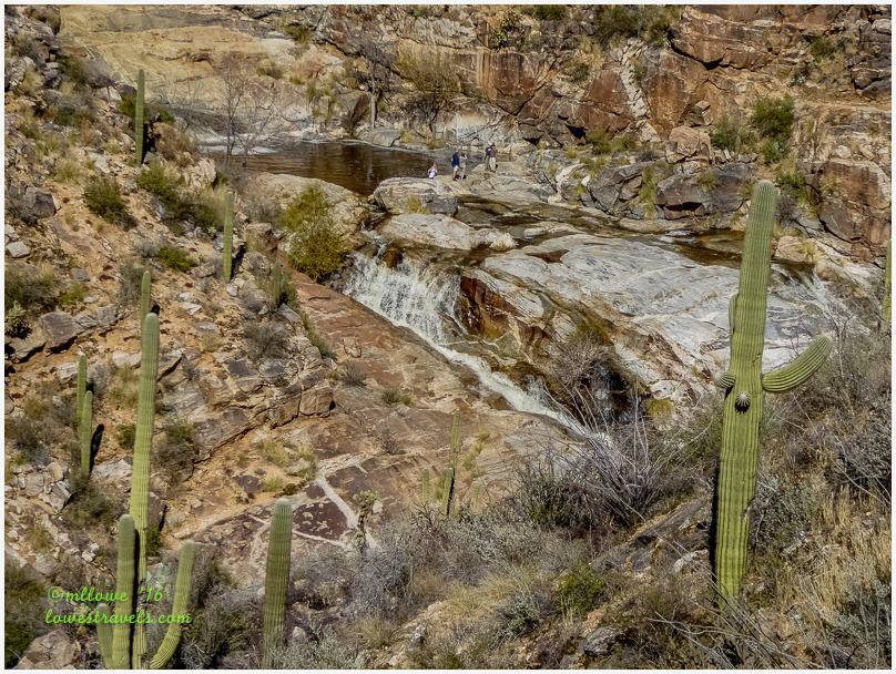 2016-01-20-AZ-1360401.jpg
