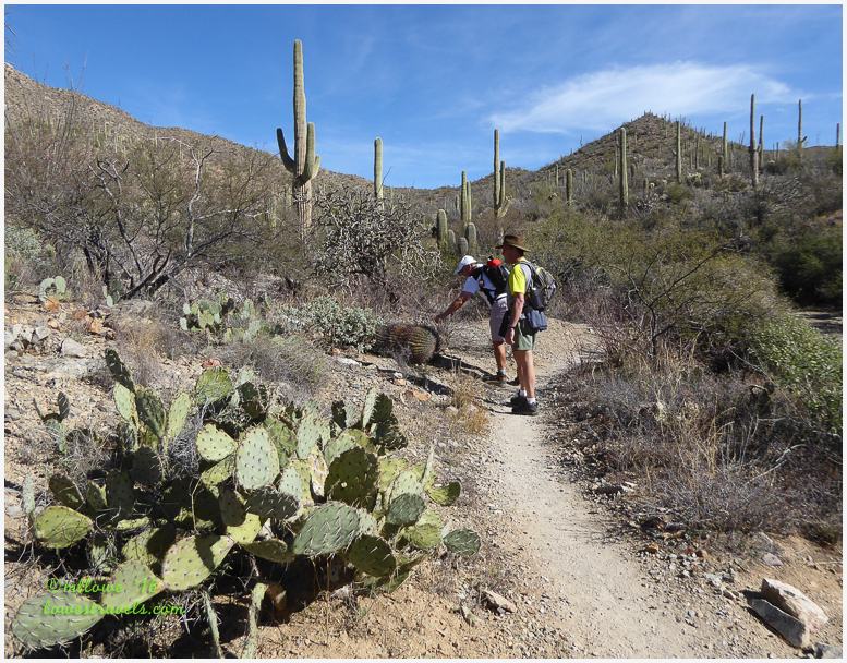 King Canyon Trail