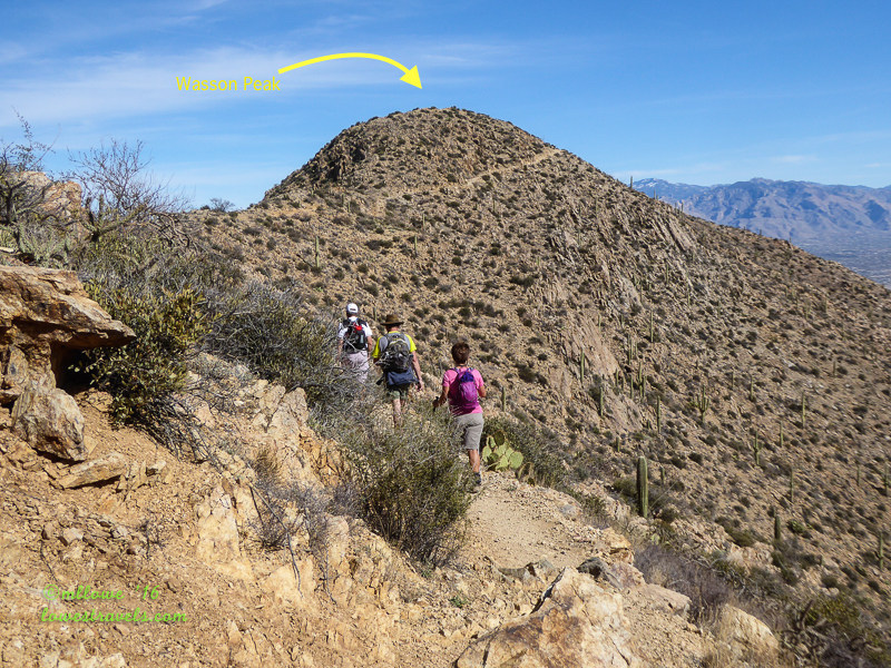 Wasson Peak