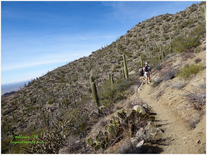 Hugh Norris Trail