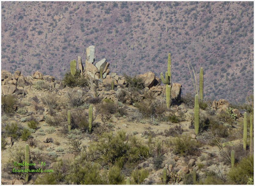Norris Trail