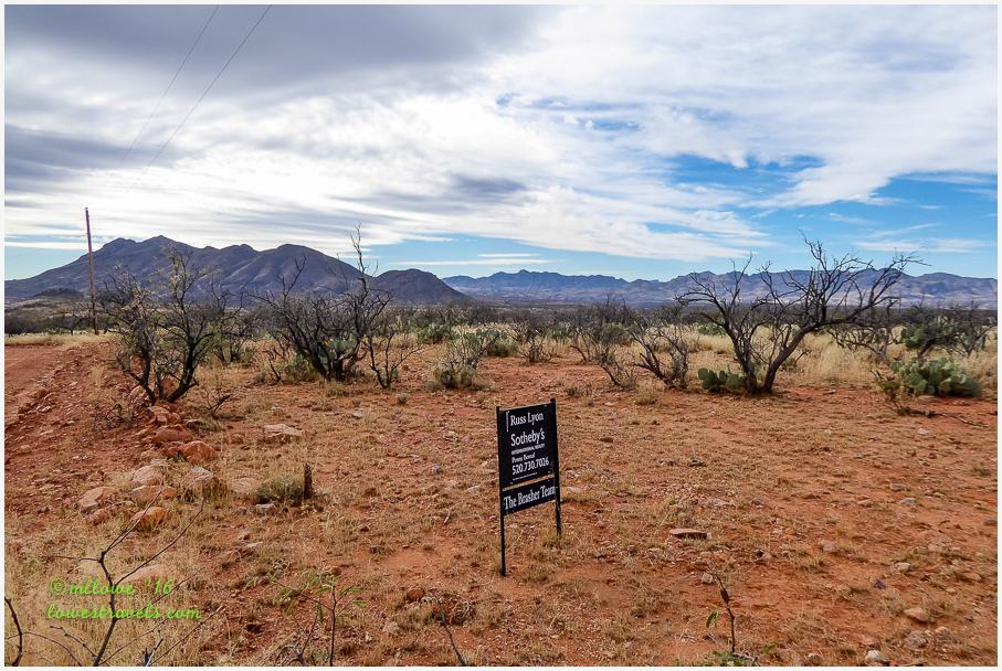 2016-01-15-AZ-1350917.jpg