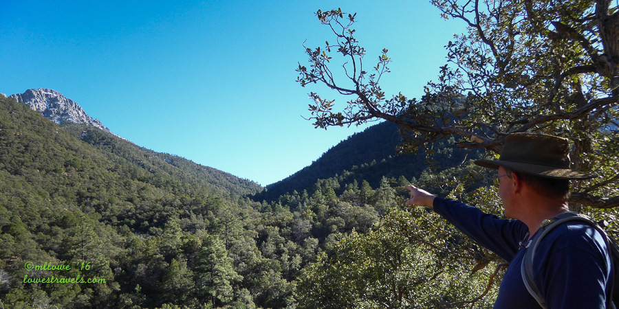 Mt Wrightson