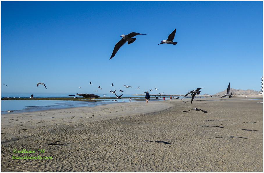 Puerto Penasco, Mexico