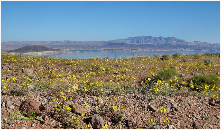 Boulder Basin, Lake Mead