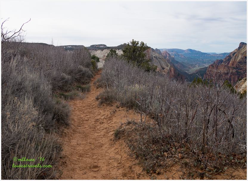 Observation Point Trail