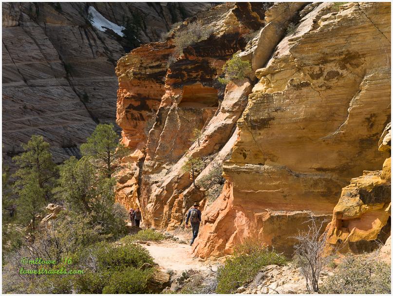 Observation Point Trail, Zion NP