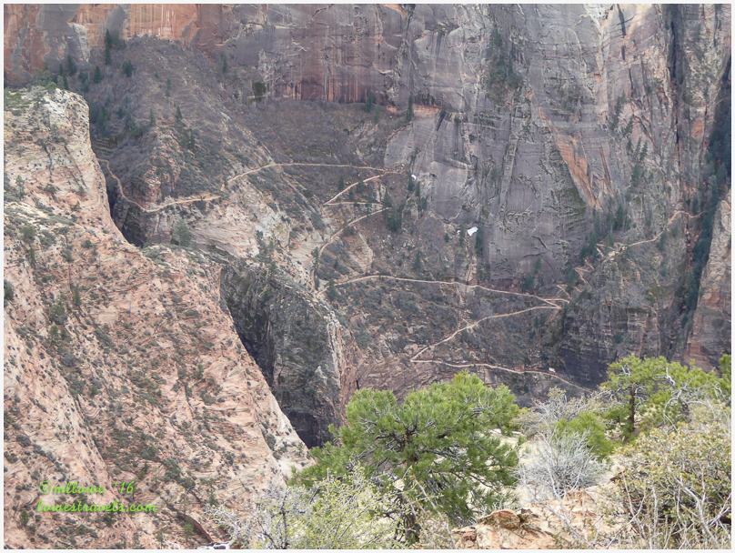 Observation Point Trail
