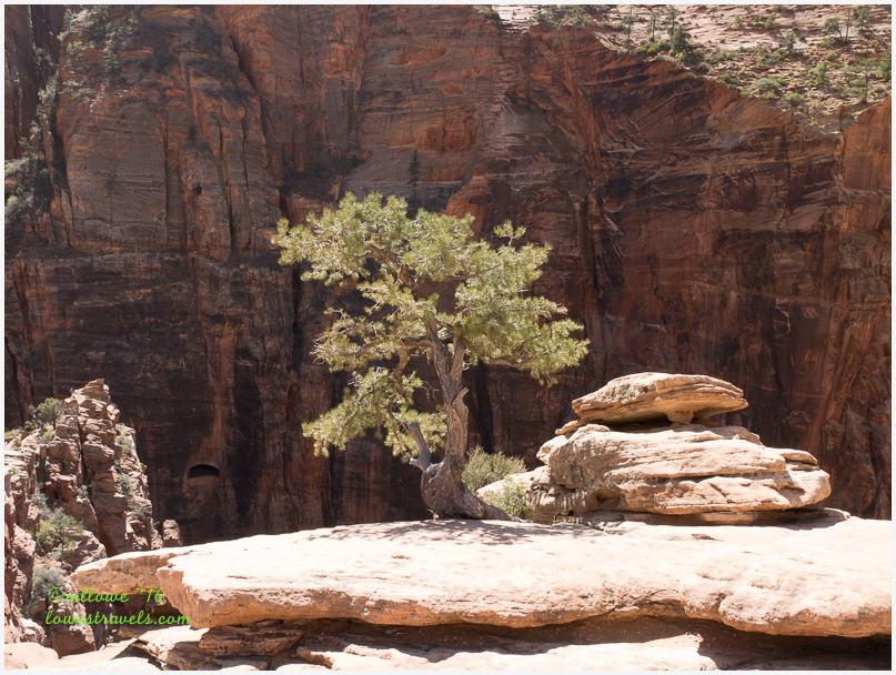 The hiking frenzy continues – Zion National Park, UT
