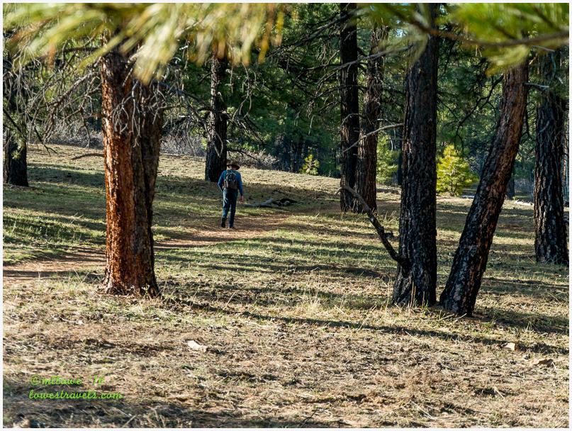 Northgate Peak Trail