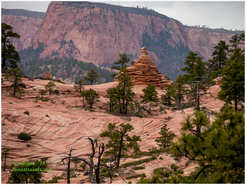 Kolob Terrace Road