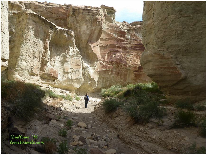 Wire grass canyon trail