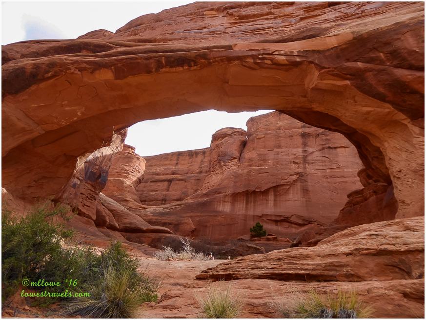 2016-04-09-UT-1490509.jpg