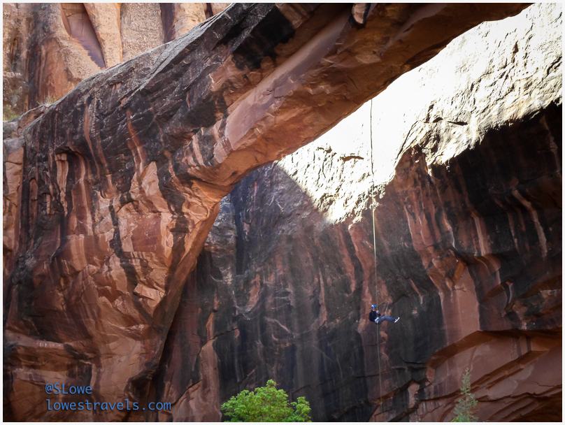 Morning Glory Arch
