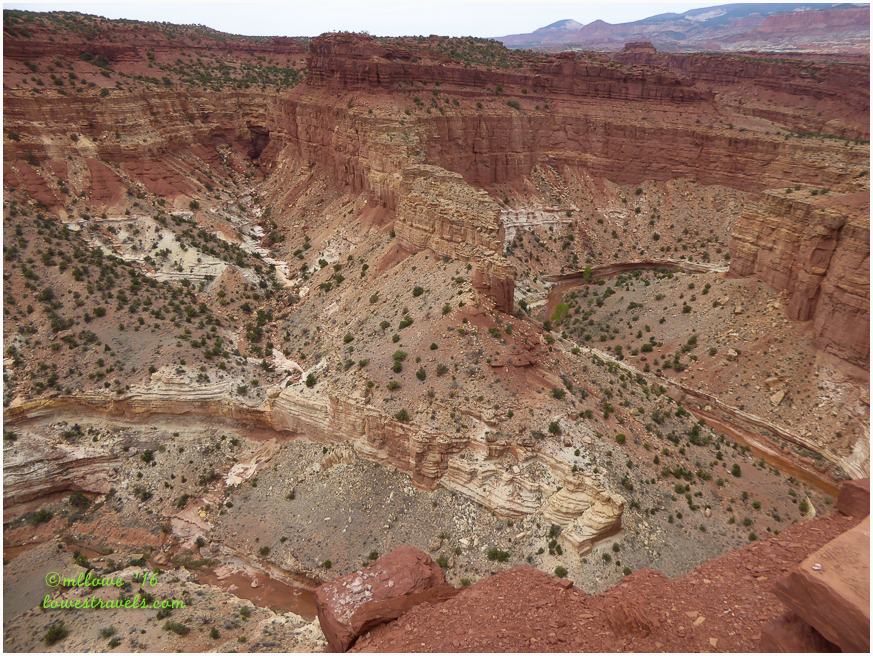 Goosenecks of Sulphur Creek
