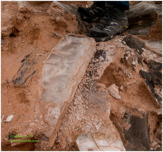 Selenite Mound