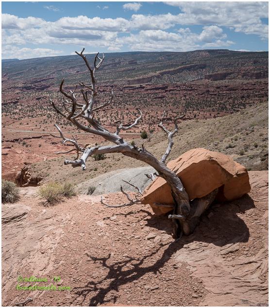 Capitol Reef