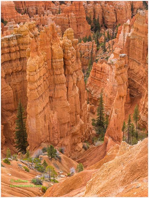 Bryce Canyon National Parl