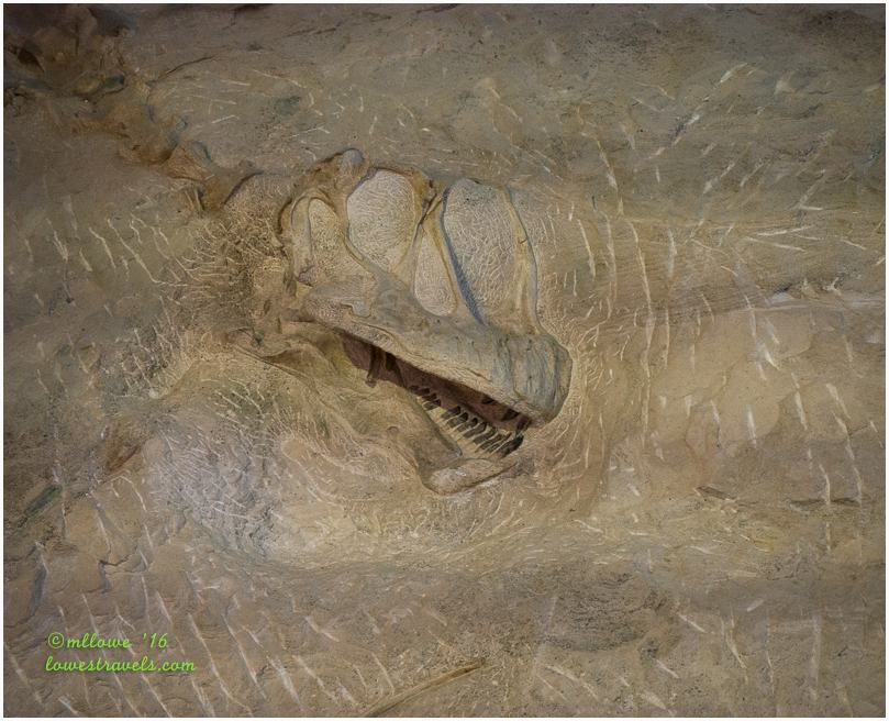 A logjam of fossils – Dinosaur National Monument, Utah