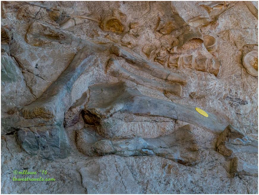 Dinosaur National Monument