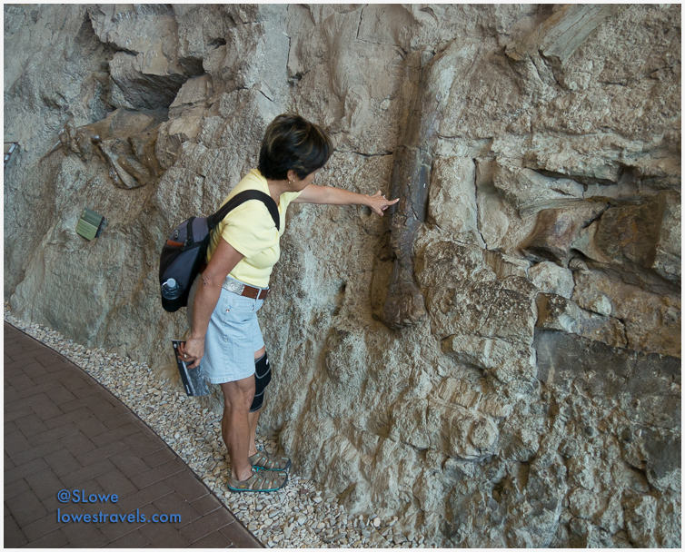 Dinosaur National Monument