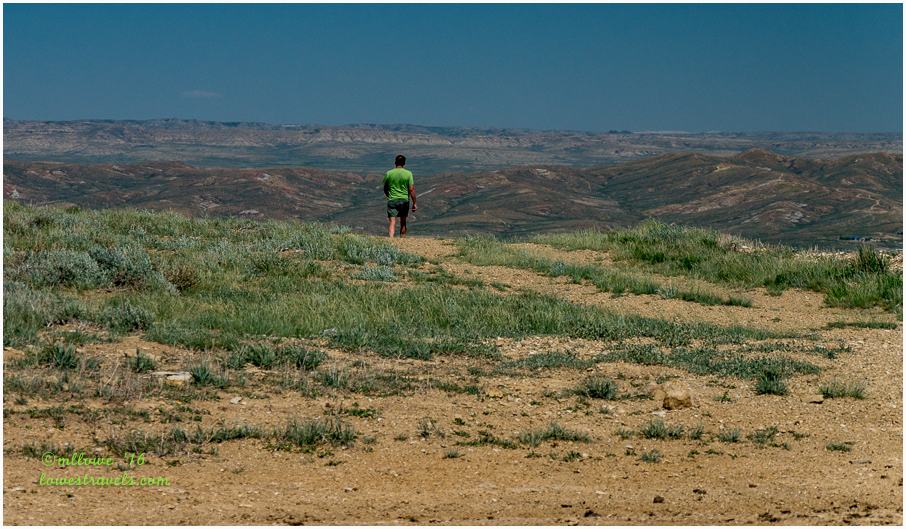 Wild Horse Scenic Drive