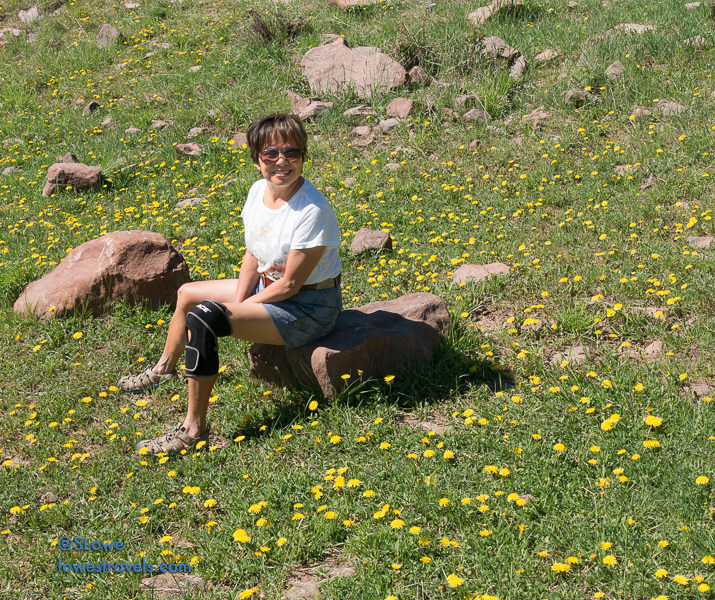 Ashly National Forest