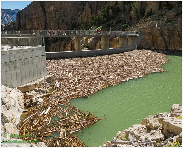Buffalo Bill Dam
