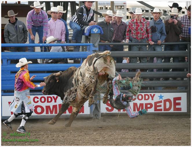 Codeo Rodeo