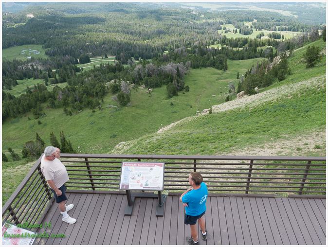 Clay Butte Fire Lookout Tower