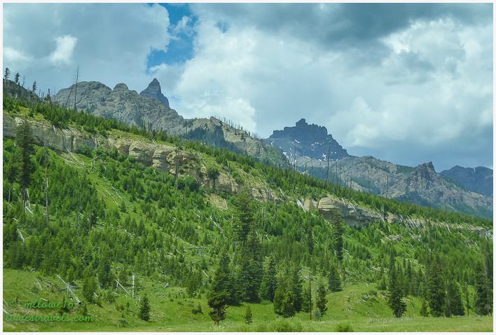 Pilot and Index Peak