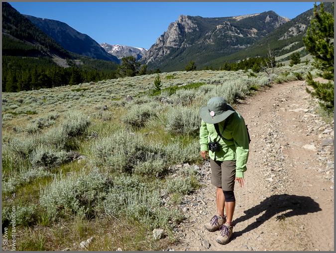 My knees are ready to go!