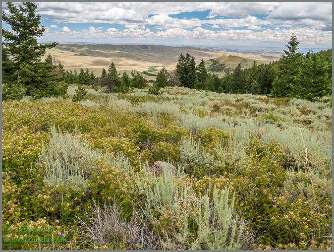 Face of the Mountain Trail