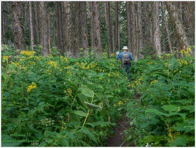 Grinnell Glacier Trail