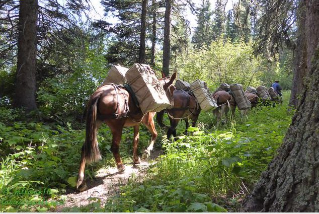 International Peace Hike