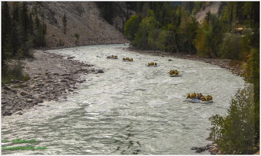 Kicking Horse River