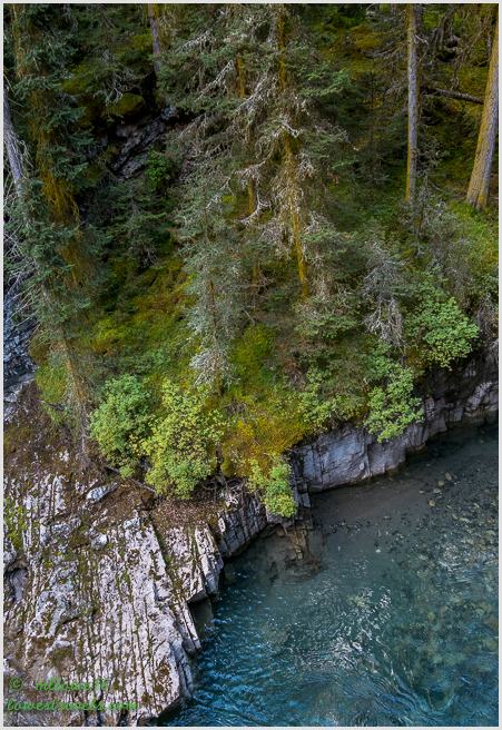 Johnston Canyon Trail
