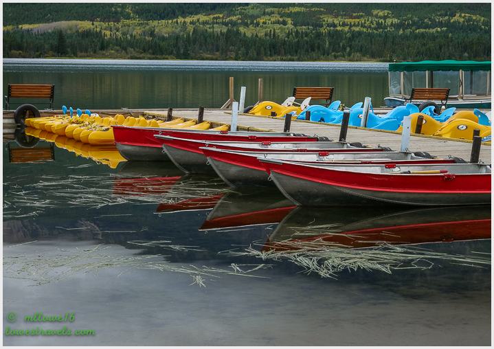Patricia Lake