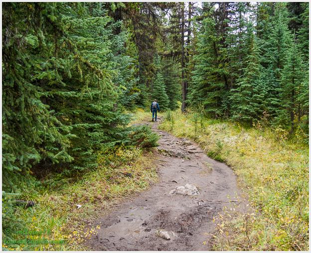 Mary Schaffer Loop Trail