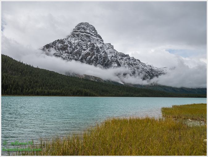 Waterfowl Lake