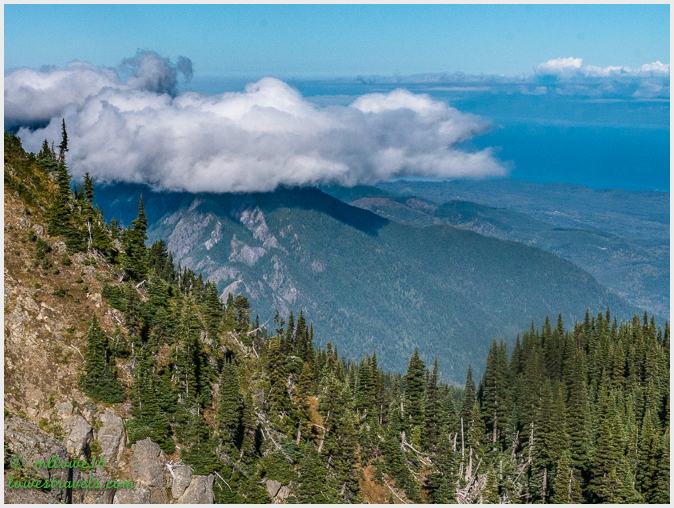 Crabs, Coasts and Mountains – Port Angeles, WA