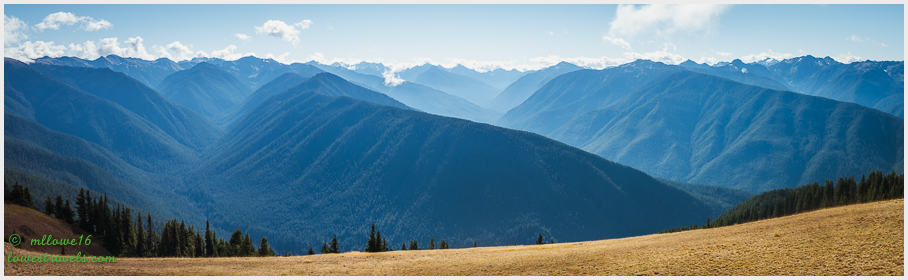 Olympic Wilderness