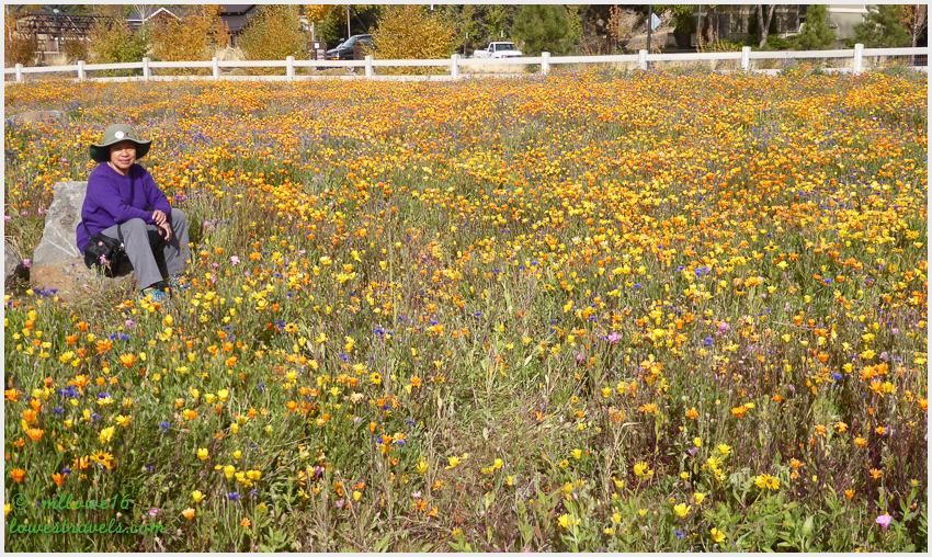 Des chutes River Trail