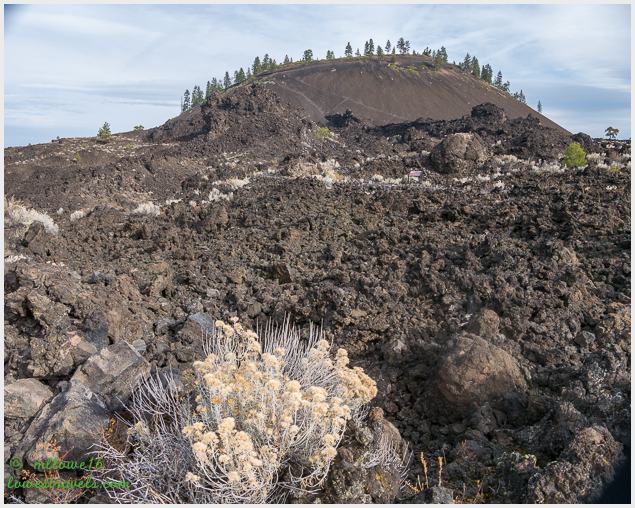 Lava Butte