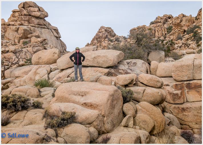 Joshua Tree National Park