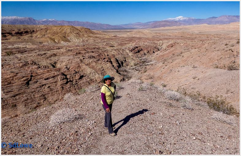 Anza Borrego Desert Park