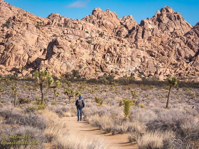 Joshua Tree National Park