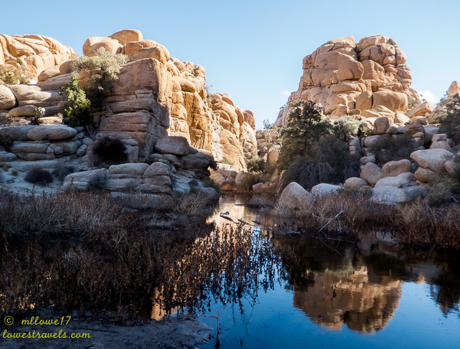 Joshua Tree National Park